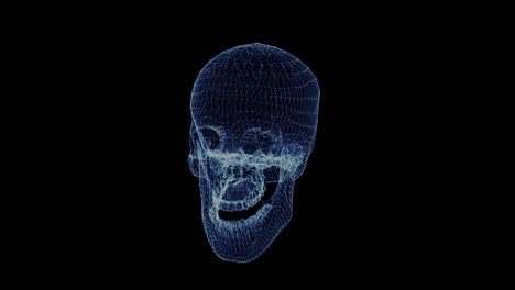 The-hologram-of-a-human-skull