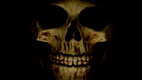 an-ominous-skull-appears-from-the-dark-and-then-disappears