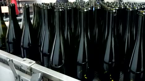 Feeding-bottles-to-the-conveyor-for-further-bottling-of-wine