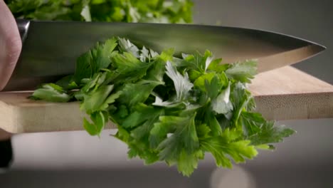 Falling-of-parsley.-Slow-motion-480-fps