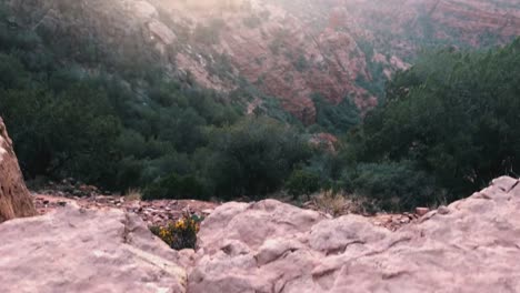 Epische-euphorisch-Sonnenuntergang-am-Cathedral-Rock-Trail,-Sedona