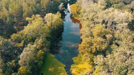 River-Bed---top-view-from-drone