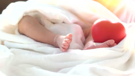 Baby-newborn-moving-foot-and-red-heart-in-beautiful-light-on-white-background