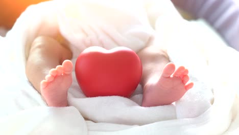 Bebé-recién-nacido-moviendo-el-pie-y-el-corazón-rojo-en-la-luz-hermosa-sobre-fondo-blanco