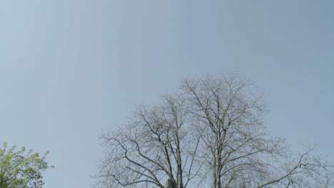 Alter-Grabstein-mit-Jesuskreuz-an-einem-sonnigen-Frühlingstag.-Neigen-Sie-von-Grabstein-zum-Himmel.-4K-in-SLOG3.-Unwahrscheinlich.