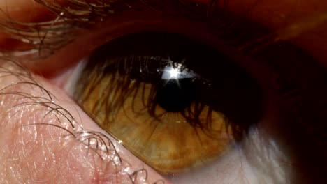 MACRO-EXTREME-CLOSE-UP:-Detail-of-female's-brown-eye-sparkling-in-the-sun