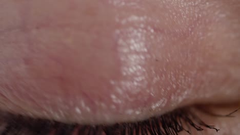 SLOW-MOTION-CLOSE-UP:-Detail-des-grünen-Auge-links-und-rechts-im-hellen-Raum