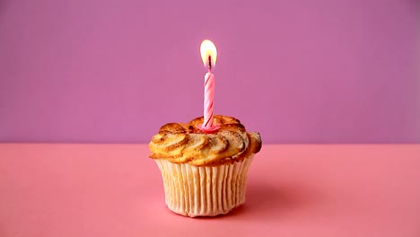 Cupcake-with-one-lighted-candle-for-the-birthday