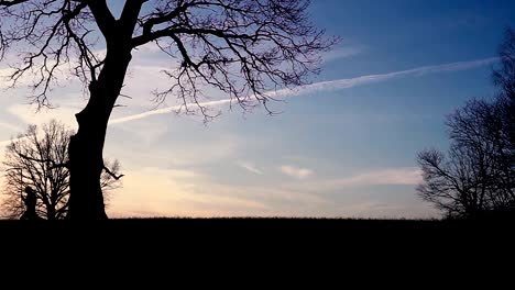 Grim-Reaper-sunset-silhouette.-concept-of-death