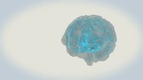 Gehirn-Habenulae-auf-weißem-Hintergrund