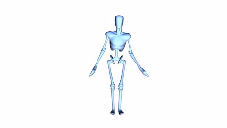 Digital-3D-Animation-of-a-Mannequin