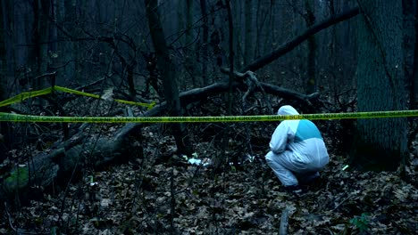 Crime-scene,-forensic-expert-working-at-murder-site,-collecting-evidence