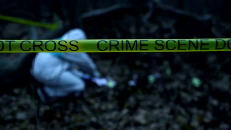 Yellow-crime-scene-tape-in-forest,-forensic-expert-collecting-evidence-at-site