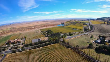 Aerial-View-Above-Vineyards-in-Sonoma-County-California