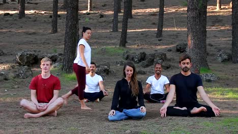 Grupo-étnico-multi-en-clase-de-meditación-de-yoga-siguiendo-las-instrucciones-del-maestro-en-el-parque-de-bosque-de-árboles-de-pino