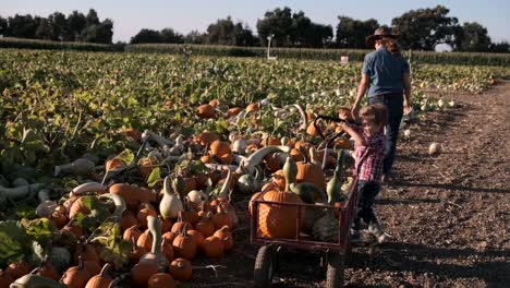 Mujer-madura-y-su-hijo-recogiendo-calabazas-en-un-parche-de-calabaza