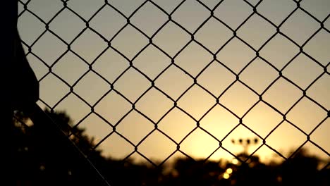 Männer-schlagen-den-Baseballspieler-mit-dem-Sonnenuntergang