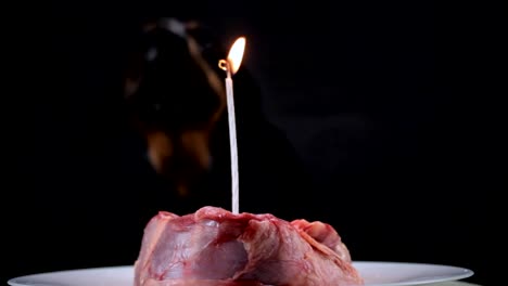 Perro-sople-una-vela-en-una-pieza-festiva-de-carne-en-honor-del-cumpleaños