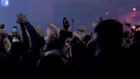 Vigorous-and-excited-music-fans-dancing-at-the-concert