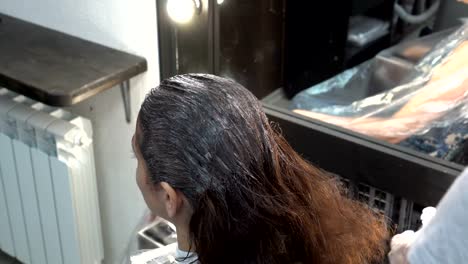 Stylist-brush-smears-paint-on-the-girl's-hair-in-a-beauty-salon.-Hair-care.-Close-up.-Rear-view.
