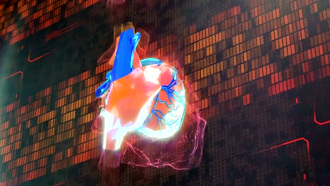 Perfecto-corazón-humano,-implantación-de-órganos-artificiales,-extensión-de-vida,-investigación
