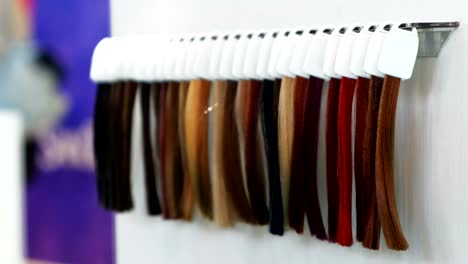 hair-dye-strands-samples-for-hair-dresser