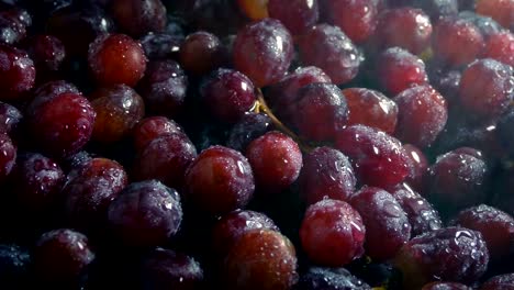 Juicy-Grapes-Getting-Sprayed-With-Fine-Mist