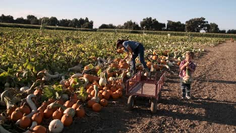 Mature-woman-and-her-son-picking-pumpkins-at-a-pumpkin-patch