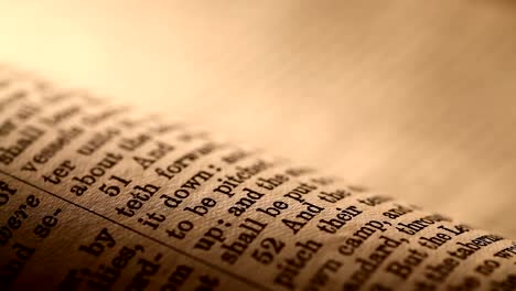 Holy-Bibel-