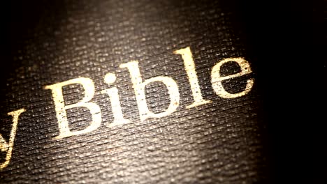 Holy-Bibel-