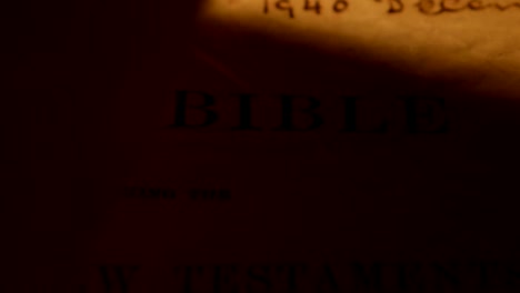 Holy-Bibel-