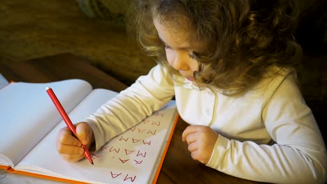 Niña-de-la-escritura-y-dibujo-haciendo-deberes