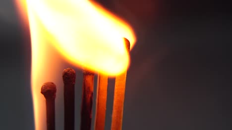 Burning-Matches,-Chain-Reaction-And-Flame.-Five-Matches-close-up-standing-next-to-each-other-on-a-black-background