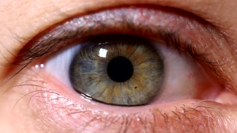 Eine-Nahaufnahme-eines-weiblichen-Auges,-schmale-Augen-die-Schüler.-Auge-Iris.