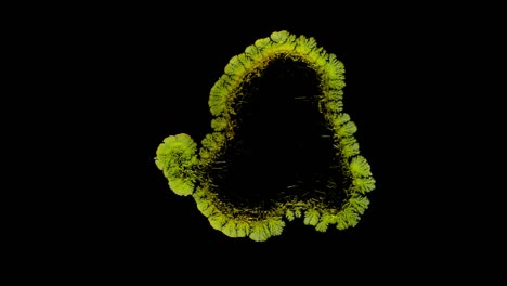 Secado-con-el-crecimiento-de-cristales-de-la-gota.-Cromato-de-potasio.