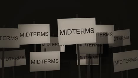 Picket-Sign-Protest-Series---Midterm-elections-version