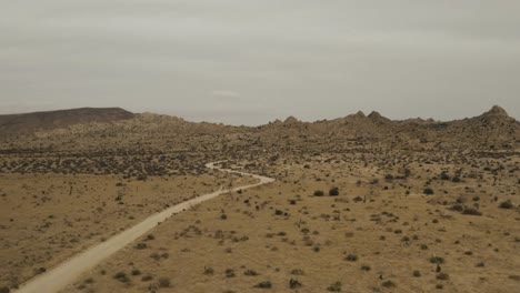 Flying-over-trees-and-houses-in-the-desert.