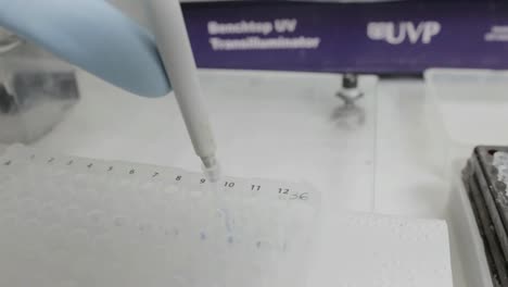 A-handheld-shot-of-a-researcher-pipetting-samples-to-a-eletrophoresis-gel-in-a-genetic-laboratory-at-university