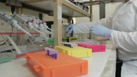 Un-investigador-transferir-las-muestras-a-frascos-más-pequeños-en-un-laboratorio-de-genético-en-la-Universidad-de