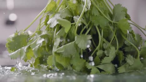 Shaking-of-coriander-above-the-wet-table.-Slow-motion