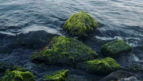 Las-olas-estrellan-en-las-rocas-cubiertas-de-musgo.-Cámara-lenta.