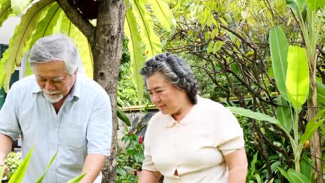 Senior-pareja-paseando-por-casa.