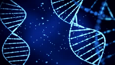 DNA-Struktur-(Schleife)