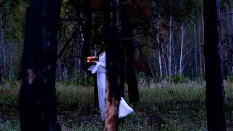 Halloween.-The-young-woman-in-the-bride-dress-walking-through-pine-forest.-4K