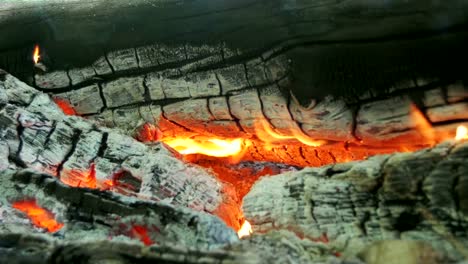 Lagerfeuer-der-Zweige-Verbrennung-im-Wald