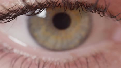 DOF-de-MACRO:-Vista-detallada-de-hermosa-tenuemente-ojo-verde-con-vetas-marrones.