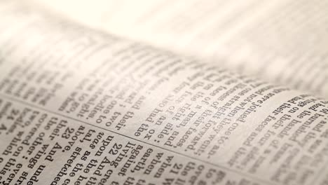 Holy-Bibel-