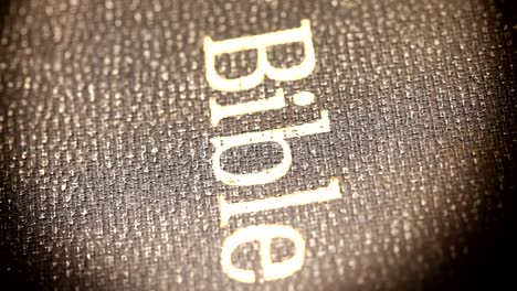 Holy-Bibel-