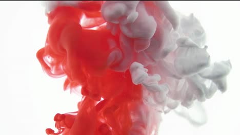 Red-and-White-color-paint-ink-drops-in-water-slow-motion-video-white-background-with-copy-space.-Inky-cloud-swirling-Abstract-isolated-smoke-explosion