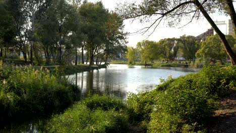 Schöne-Aussicht-auf-den-Fluss,-Stadtpromenade-und-grünen-Bäumen-bei-Sonnenuntergang.